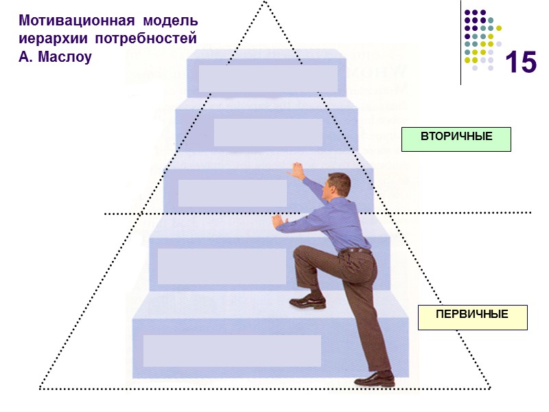 15 Мотивационная модель  иерархии потребностей  А. Маслоу  ФИЗИОЛОГИЧЕСКИЕ СОЦИАЛЬНЫЕ УВАЖЕНИЯ БЕЗОПАСНОСТИ